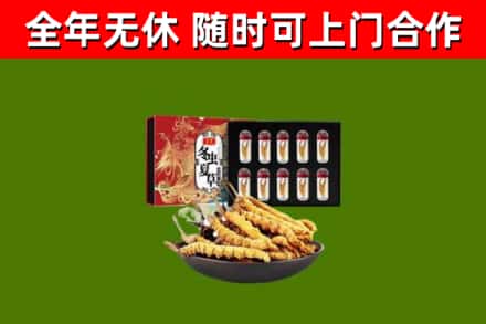 江城烟酒回收冬虫夏草礼盒.jpg